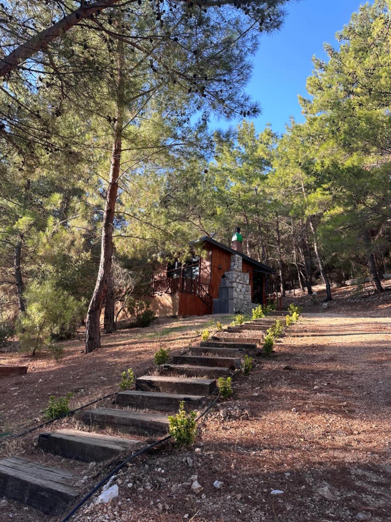 Panurlawoodenhouse Oezel Havuz& Sauna Mavi Exterior foto